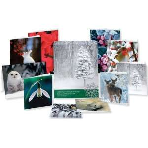  20 ECO FRIENDLY BOXED CHRISTMAS CARDS