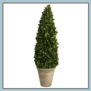  Boxwood Cone Topiary 30 inch