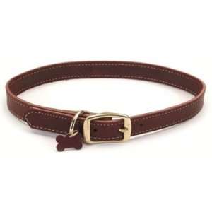  Too Latigo 26 Leather Perimeter Stitch Dog Collar