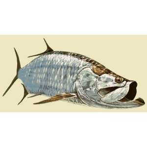  Wildlife Decals Tarpon Decal