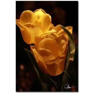  Gicle Print   Martha Guerra Two Yellow Tulips 22 x 32 
