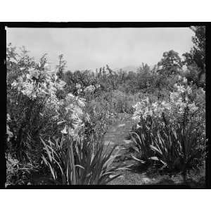  Marthas Farm,Lynchburg,Campbell County,Virginia