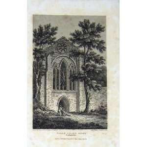  Wales 1810 View Valle Crusis Abbey Denbighshire Trees 