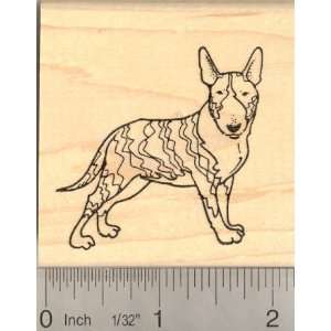  Bull Terrier (Brindle) Rubber Stamp Arts, Crafts & Sewing
