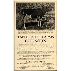  1924 Ad Guernseys Table Rock Farm Cows Pierson Hamilton 