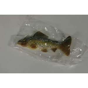 Brown Trout Fish Magnet