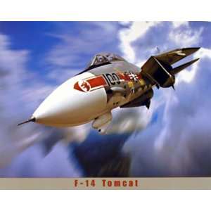  F 14 Tomcat (16 X 20)