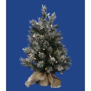   Pre Lit LED Frosted Jackson Pine Christmas Tree in Burlap Sack   Clear