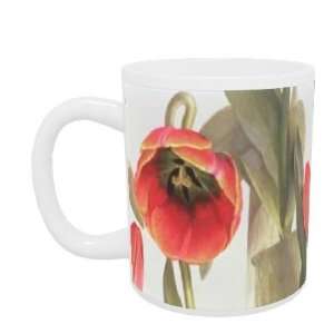  Tulip De Molen (w/c on paper) by Coral Guest   Mug 