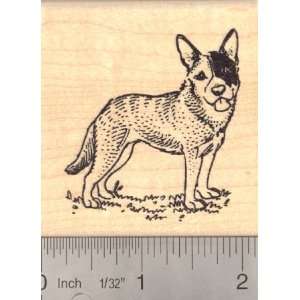   Cattle Dog Rubber Stamp (Blue Heeler) Arts, Crafts & Sewing