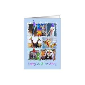  Colorful 67th Birthday Zoo Animals Card Toys & Games