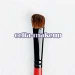 22 Piece Pro Red Make up Mineral Brush set [BS10]  