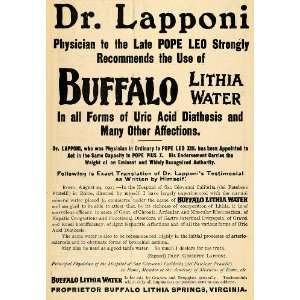 1903 Ad Dr Lapponi Pope Leo XIII Buffalo Lithia Water 