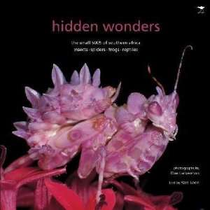  Hidden Wonders Rael/ Lieberman, Dan (PHT) Loon