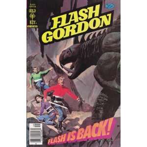  Comics   Flash Gordon Comic Book #19 (Sep 1978) Fine 