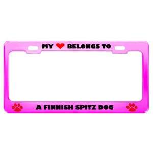  A Finnish Spitz Dog Pet Pink Metal License Plate Frame Tag 