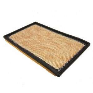  Forecast Products AF145 Air Filter Automotive