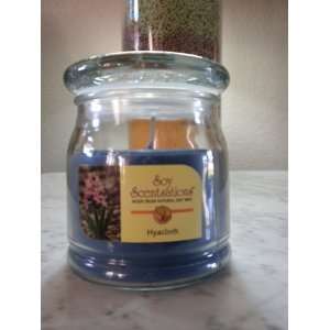    Beanpod   Hyacinth Scented 7.5 Oz Soy Candle