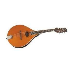   with Oval Soundhole (Traditional Sunburst) Musical Instruments