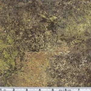  45 Wide Stone Henge Sandstorm Lichen Fabric By The Yard 