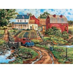   Grandmas Garden   750pc Jigsaw Puzzle by Masterpieces Toys & Games