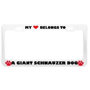  A Giant Schnauzer Dog Pet White Metal License Plate Frame 