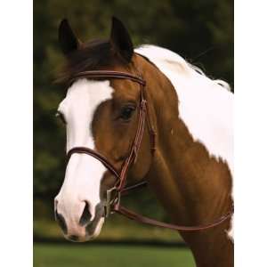  HDR Raised Plaited Snaffle Bridle   CLOSEOUT SALE Sports 