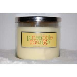  Slatkin & Co. Pineapple Mango Scented Candle 