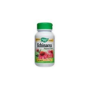  Echinacea Herb (COG) 100 Cp