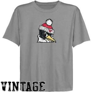  NCAA Youngstown State Penguins Youth Ash Distressed Logo 