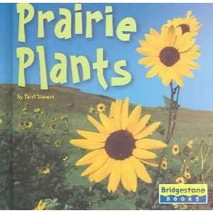  Prairie Plants Terri Sievert Books