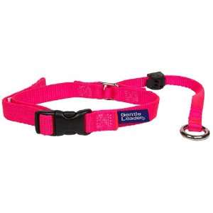    Gentle Leader Headcollar, X Large, Hot Pink with DVD