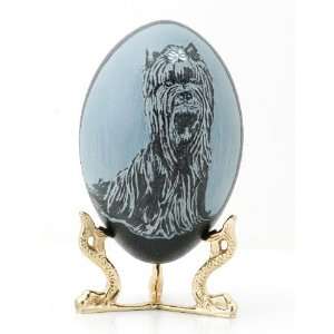  Hand Carved Emu Egg Shih Tzu 