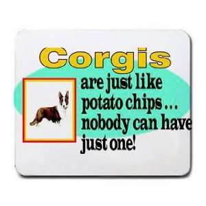  Corgis are Just Like potato Chips Nobody can have Just One 