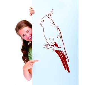    Removable Wall Decals  Bird on a Branch (4)