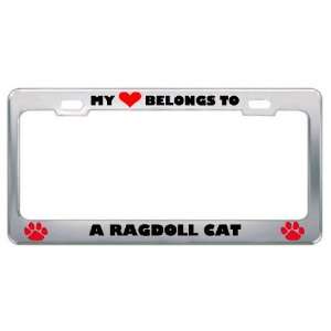 My Heart Belongs To A Ragdoll Cat Animals Pets Metal License Plate 
