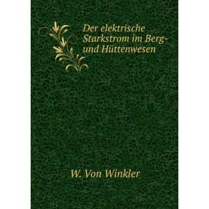   Starkstrom im Berg  und HÃ¼ttenwesen W. Von Winkler Books