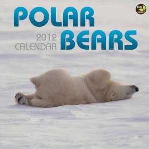  Polar Bears 2012 Wall Calendar