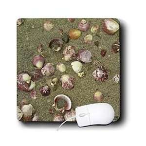   Kike Calvo Panama   Sea shells on the sand   Mouse Pads Electronics