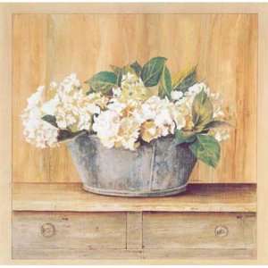  Les Fleurs Blanches, Hortensias   Poster by David Laurence 