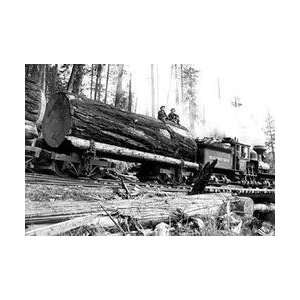  Transporting Fallen Old Growth 28x42 Giclee on Canvas 