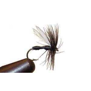 Black Ant Fly by Wild Water, Size 14, Qty. 3 Sports 