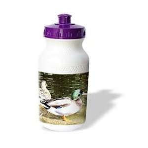   Patricia Sanders Photography   Duck   Water Bottles
