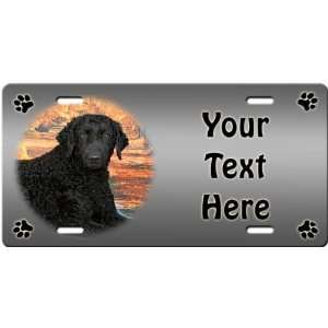  Curly Coated Retriever Personalized License Plate Sports 
