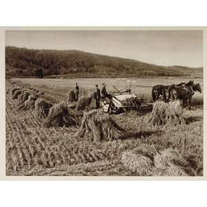  1926 Harvesting Moisson Farm Field Nova Scotia Canada 