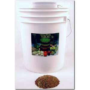  5 Part Organic Sprouting / Sprout Seed Salad Mix   Seeds 