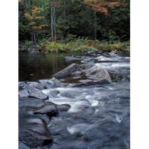  The 100 Mile Wilderness section of the Appalachian Trail 