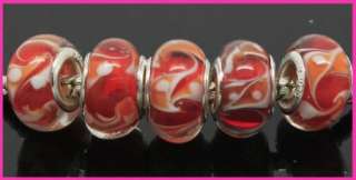 5pcs Lampwork Glass European Beads Charms S501  