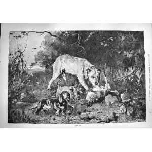  1884 Outlaws Dead Rabbit Dogs Eating Countryside