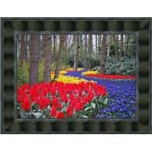  Picture Frame Black Wave Compo  2 wide